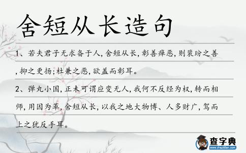 舍短從長造句