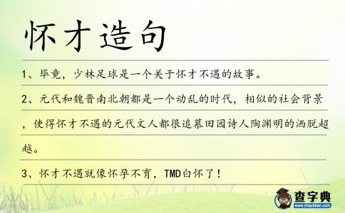 懷才造句