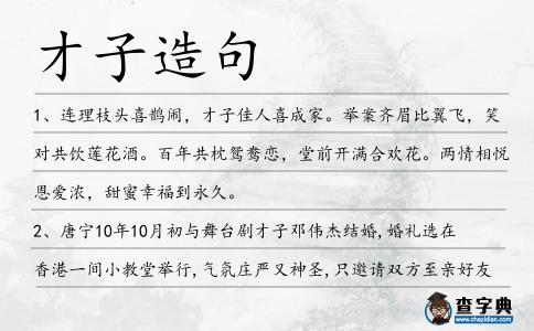 才子造句