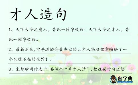 才人造句