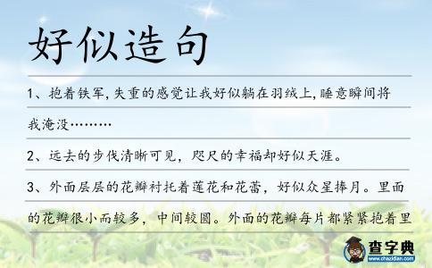 好似造句