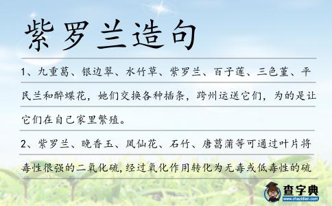 紫羅蘭造句