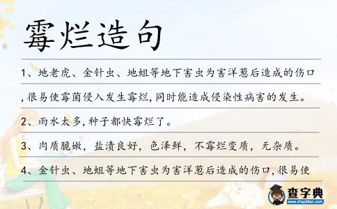 霉爛造句