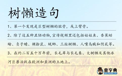 樹懶造句