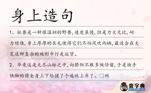 身上造句