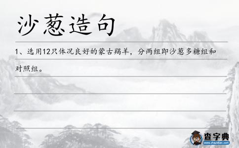 沙蔥造句