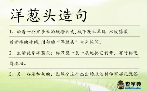 洋蔥頭造句