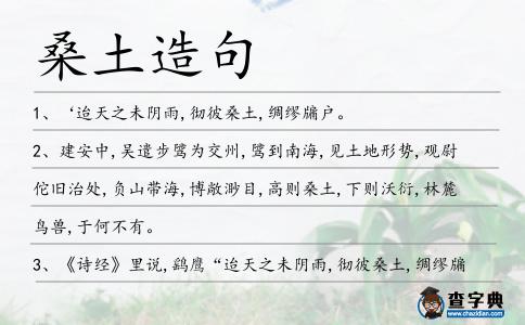 桑土造句