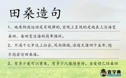 田桑造句