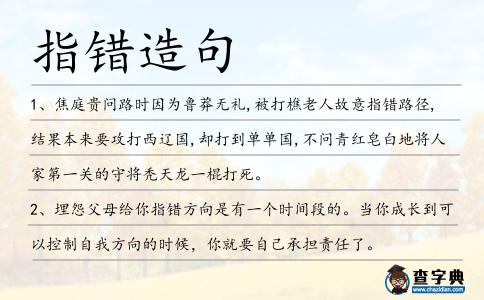 指錯造句