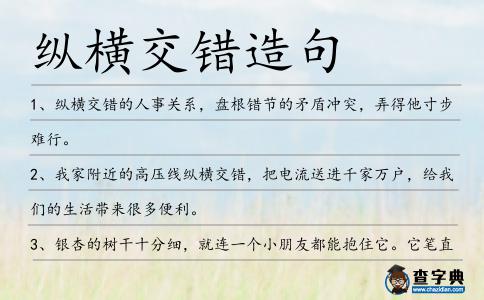 縱橫交錯造句