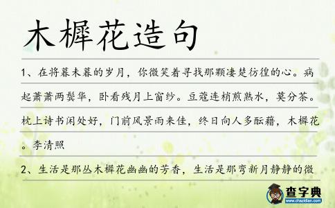 木樨花造句