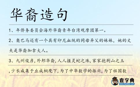 華裔造句