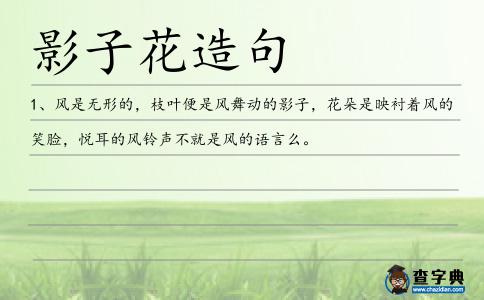 影子花造句