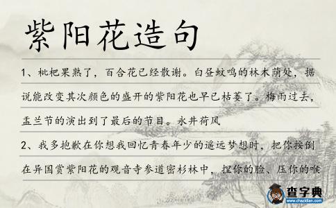 紫陽花造句