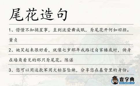 尾花造句
