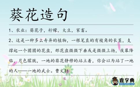 葵花造句