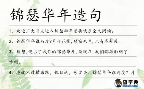 錦瑟華年造句