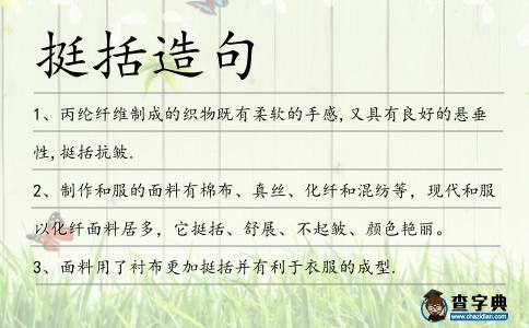 挺括造句