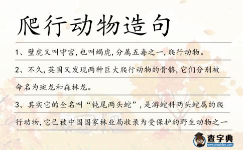 爬行動物造句