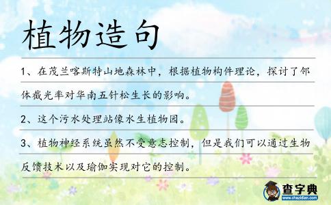 植物造句