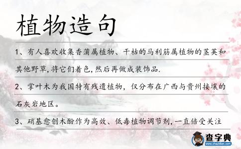 植物造句
