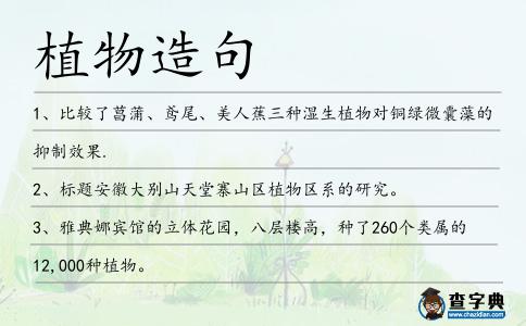 植物造句