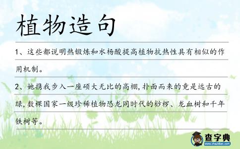 植物造句