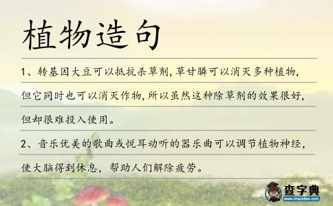 植物造句