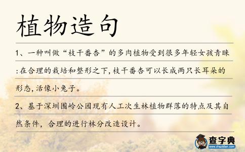 植物造句