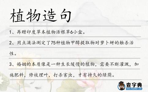 植物造句