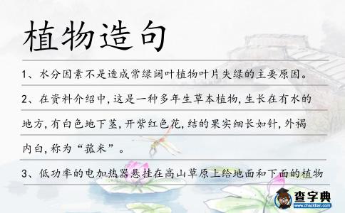 植物造句
