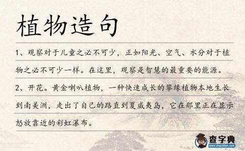 植物造句