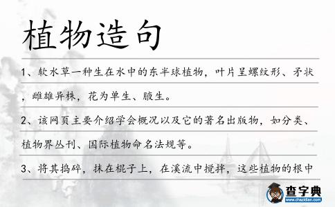 植物造句