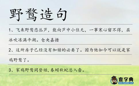 野鶩造句