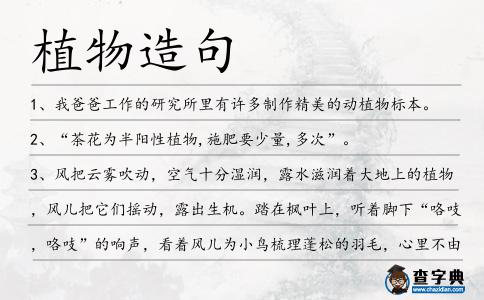 植物造句