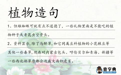 植物造句