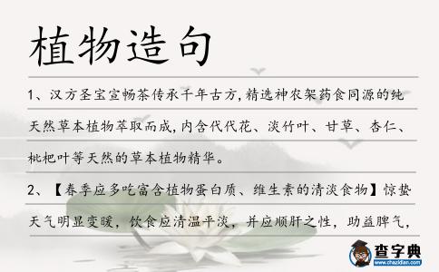 植物造句