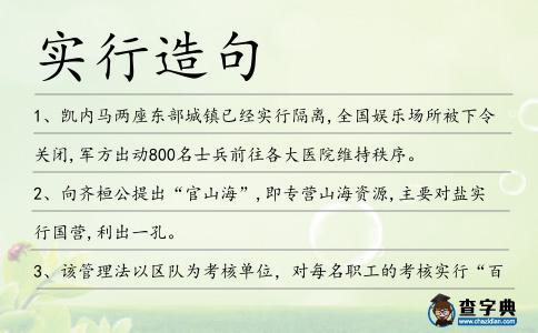 實行造句