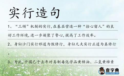 實(shí)行造句