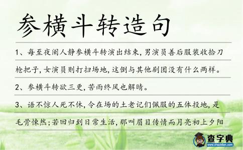 參橫斗轉(zhuǎn)造句