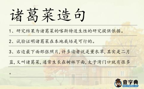 諸葛菜造句