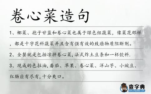 卷心菜造句