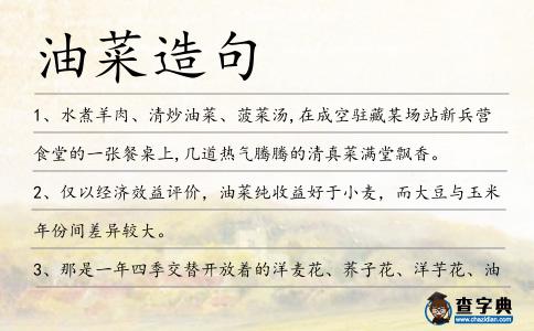 油菜造句