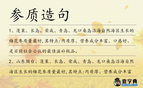 參質造句