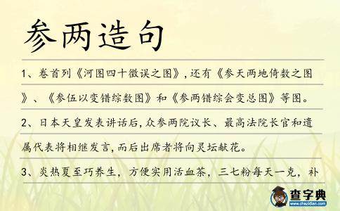 參兩造句