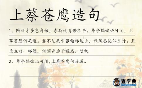 上蔡蒼鷹造句