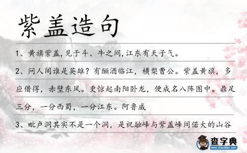 紫蓋造句