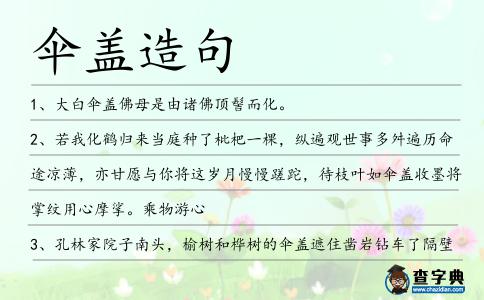傘蓋造句