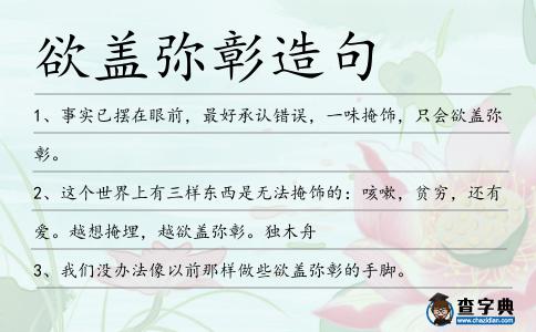 欲蓋彌彰造句